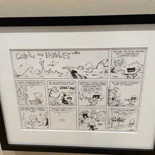 Who doesn't love Calvin and Hobbes?