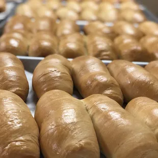 Regular jumbo sausage cheese kolaches