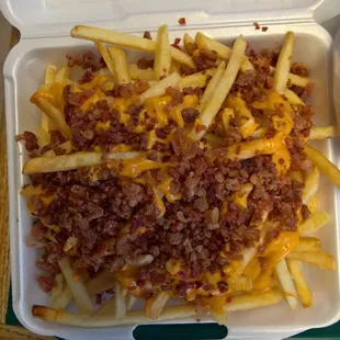Fries with cheese and bacon. A large Styrofoam container full of heartburn and deliciousness!