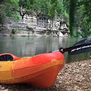Kayak Rentals