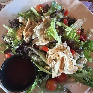 Grilled Chicken and Pinenut Salad