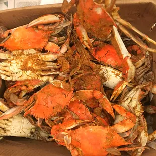 Bushel of steamed crabs