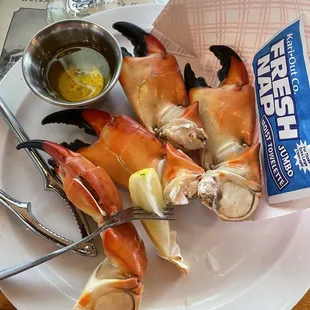 Large Fresh Stone Crab
