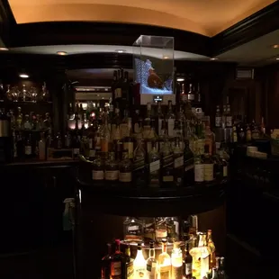 Beautiful and classy bar