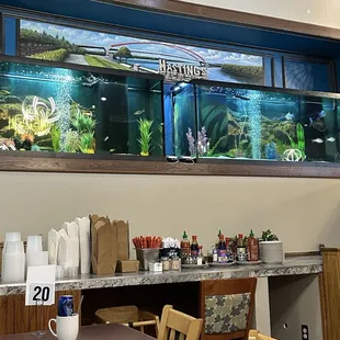 Another mural but of Hastings next to two big fish tanks