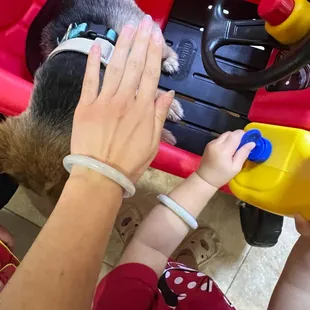 Baby jade for my niece