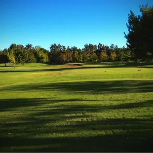 Executive 9 4th hole - just 95 yards from the white tees.  Deep bunkers to the left.