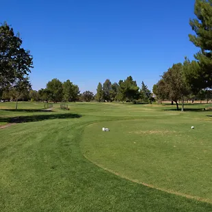 The exec 9 par 3 5th.  Don't hit it in the gully!  This green is 40 yards long, so be sure to note pin placement.