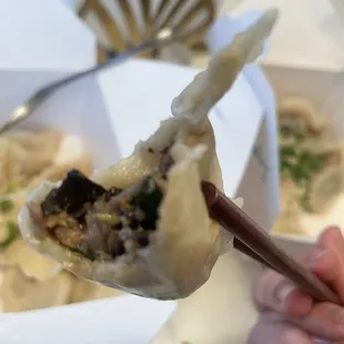 Inside impossible dumplings.