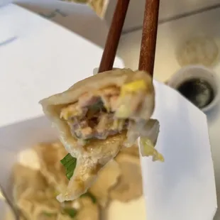 Pork and Cabbage Dumpling