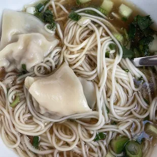 Wonton Noodle Soup