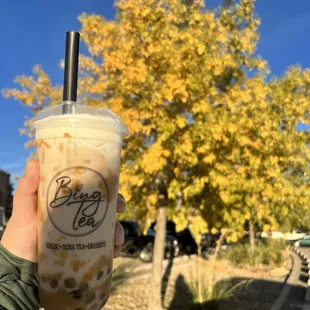 Pumpkin Spice Milk Tea