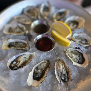 Dozen Oysters