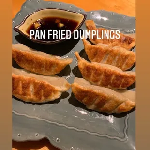 pan fried dumplings with dipping sauce