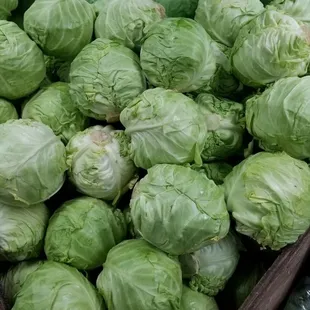 Fresh Cabbage