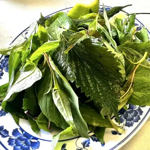 noodles, noodle dish, food, ramen, noodle soup, ramen and noodles