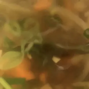 Here's some Wonton-free Wonton soup? MMmmmmm. Just kidding. I even tried the broth itself, but it was essentially dirty water.