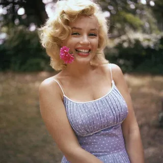 Lily F.
