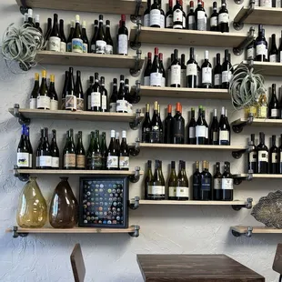 Wall of fantastic wines!