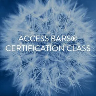 Access Bars Certification Classes - Occur Twice Per Month.
