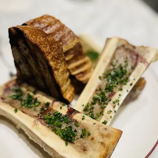 Bone Marrow