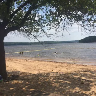Beach and lake