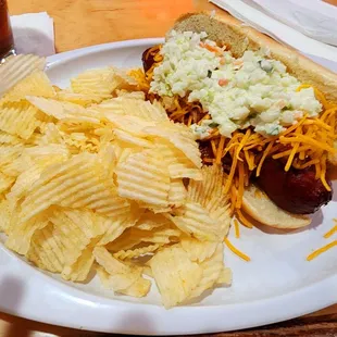 West Virginia Slaw Dog