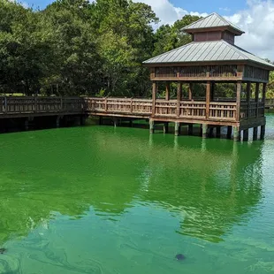 Boardwalk and pavilion