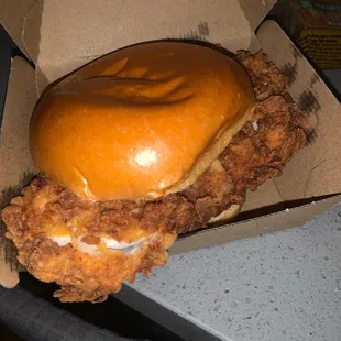 Spicy Bird - Fried Chicken Sandwich