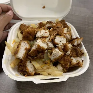 Loaded fries