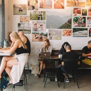 Inside of Bird Rock Coffee Torrey Pines Beach