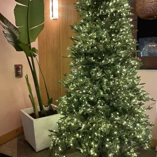 Christ decor upon entering