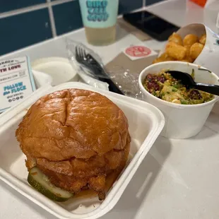 a chicken sandwich and a side salad