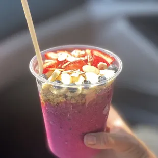 Full frontal view of  Large Classic Pitaya