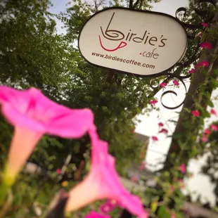 Our beautiful outdoor seating area