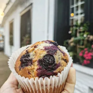 Blueberry muffin