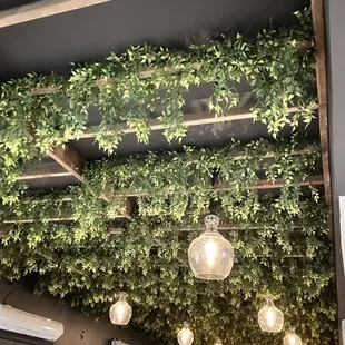 Cute ceiling vibe