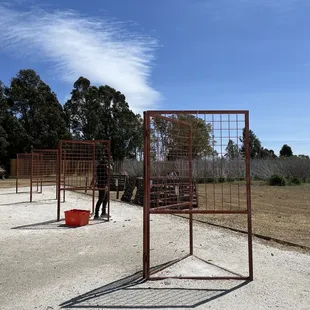 So much fun! Ig: @jazz_rae