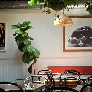 Skylight - seating area