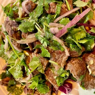 Namtok - Grilled Grass-fed Beef