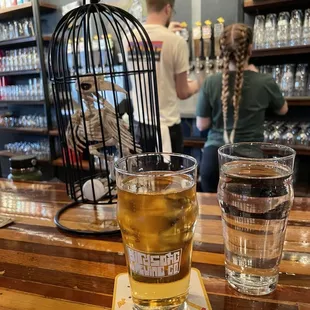 two glasses of beer on a bar