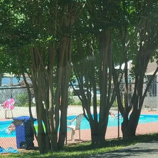 Pool included in cabin rentals