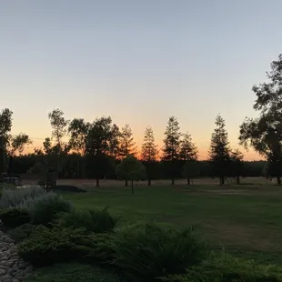 Lawn at sunset