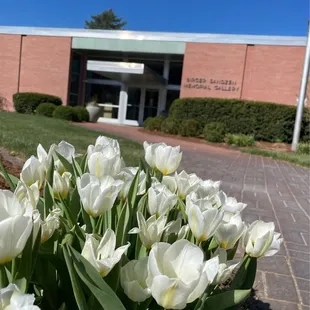 Sandzén museum - Lindsborg, KS