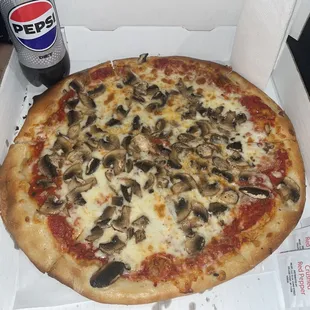 Fantastic Mushroom Pizza togo !!!