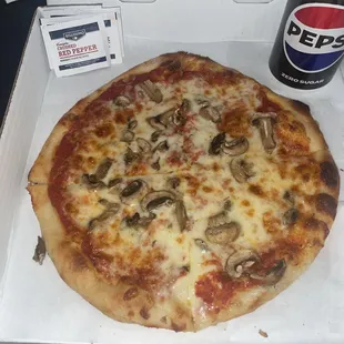 Fantastic 10 inch Mushroom Pizza togo !!!