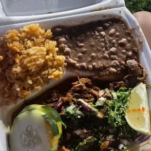 Birria Plate