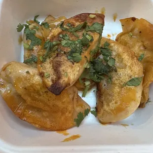 Chicken Birria Dumplings
