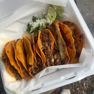 Birria tacos
