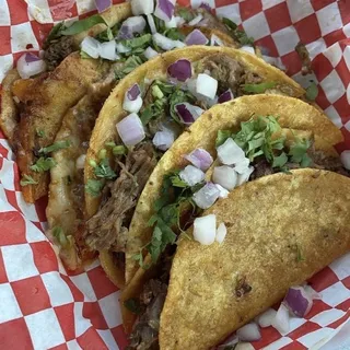 Single Handmade Tortilla